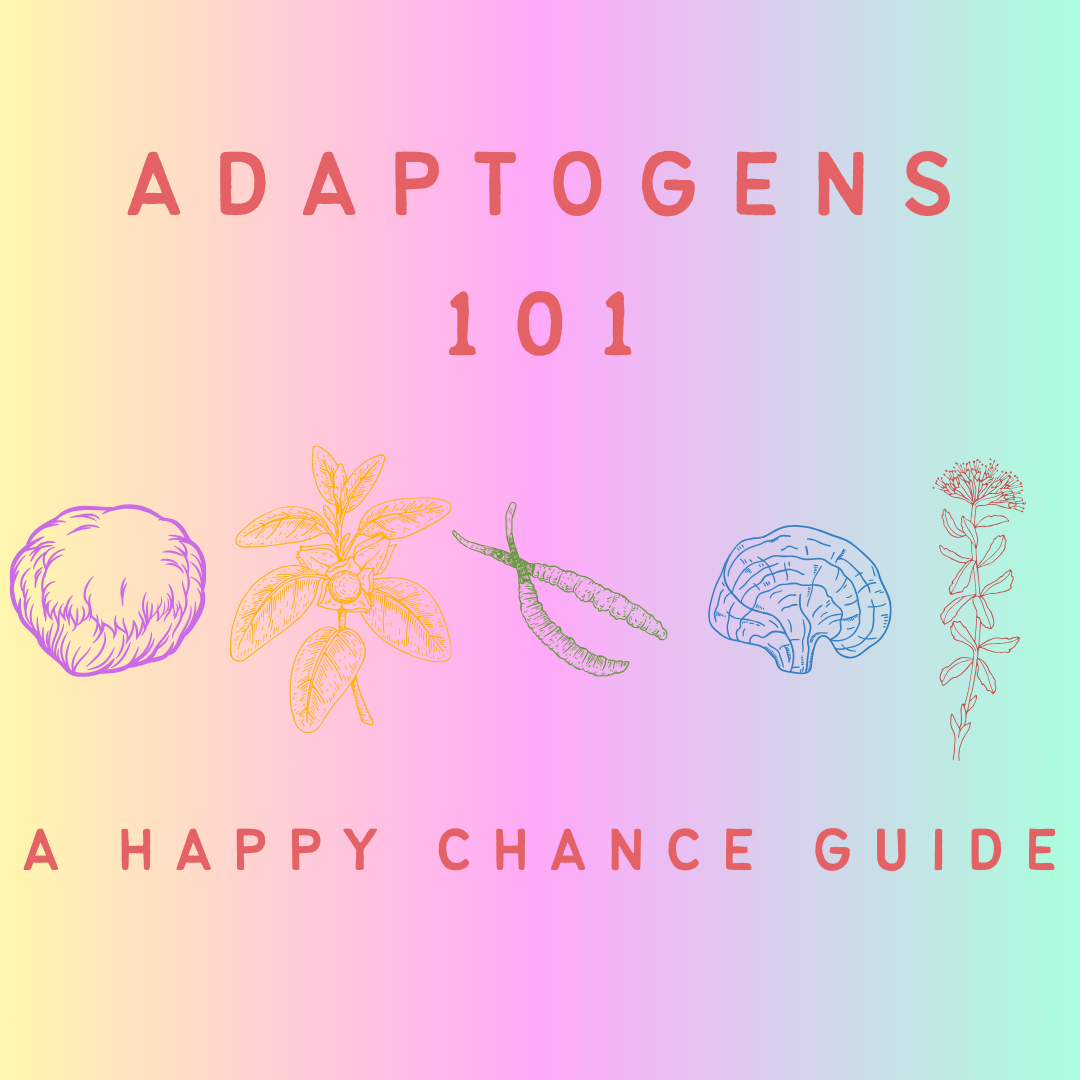 Adaptogenic Mushrooms Benefits: The Future of Wellness
